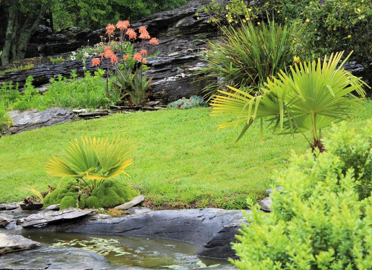 Labyrinth Gardens Guest House Takaka Εξωτερικό φωτογραφία